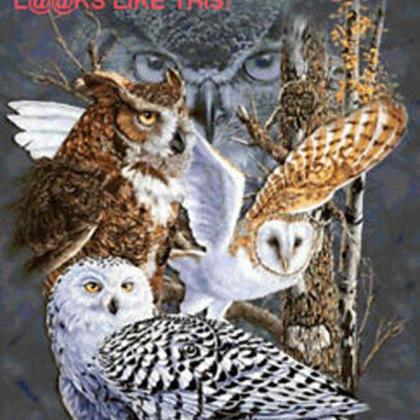 Owls Of The World Cross Stitch..