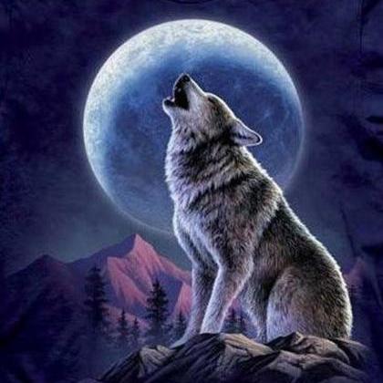 Wolf And Moon Cross Stitch Pattern***look***buyers..