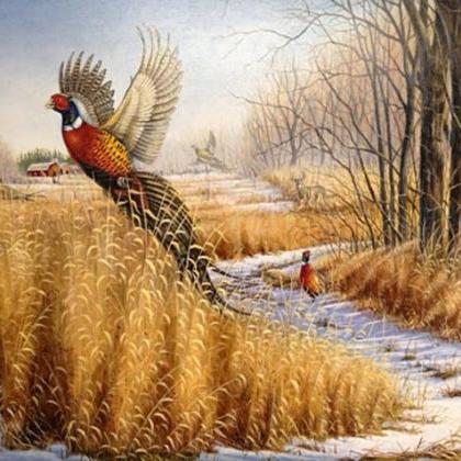 Pheasant Wild Life Cross Stitch..