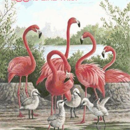 Pink Flamingo Birds Cross Stitch Pa..
