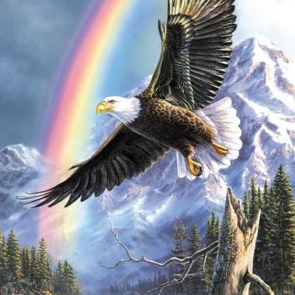 ( CRAFTS ) Eagle Rainbow Cross Stit..