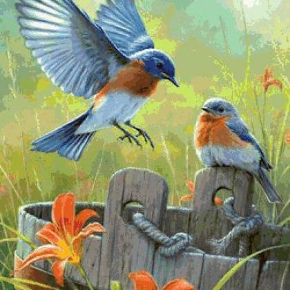 Lillys & Blue Birds Cross Stitch..