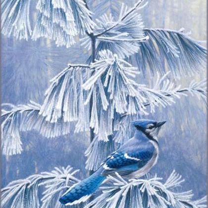 ( CRAFTS ) Frosty Morning BLue Jay ..