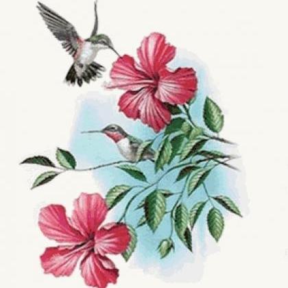 Ruby Throated Hummingbird Cross Stitch..