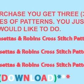 ( Crafts ) Poinsettas & Robins Cross..