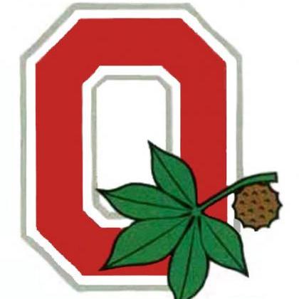 Ohio State Banner Cross Stitch..