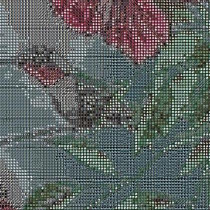 Hummingbird Cross Stitch Pattern***look***buyers..