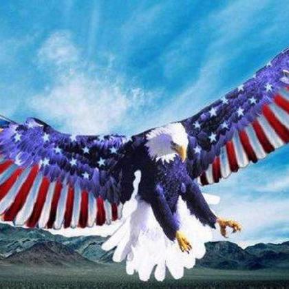 American Eagle Flag Wings Cross Stitch..