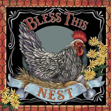 Bless This Nest Cross Stitch..