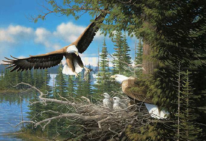 Crafts Spring Bald Eagles Cross Stitch Pattern***look***