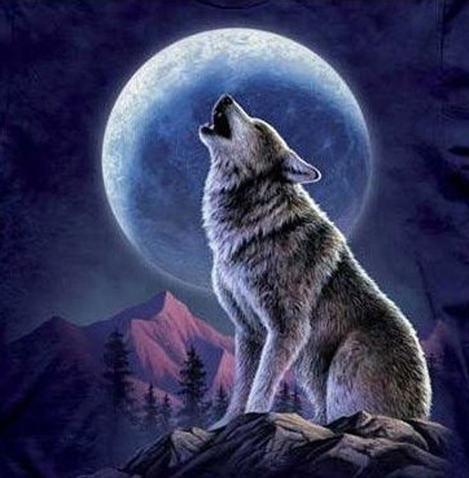 Wolf And Moon Cross Stitch Pattern***look***buyers Can Download Your Pattern As Soon As They Complete The Purchase