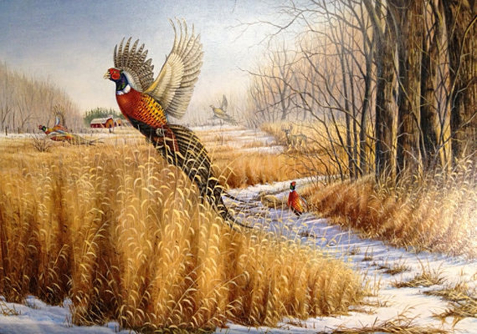 ( CRAFTS ) Pheasant Wild Life Cross Stitch Pattern***LOOK***Buyers Can Download Your Pattern As Soon As They Complete The Purchase