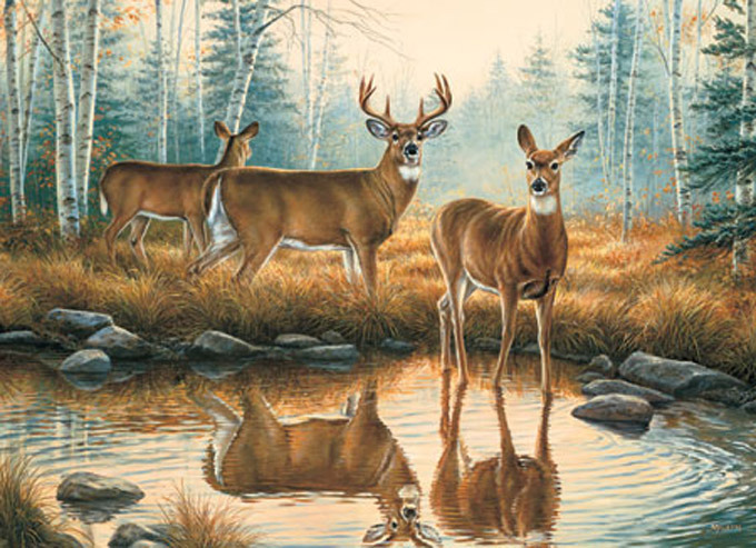 CRAFTS Deer Reflections Cross Stitch Pattern***LOOK***Buyers Can Download Your Pattern As Soon As They Complete The Purchase