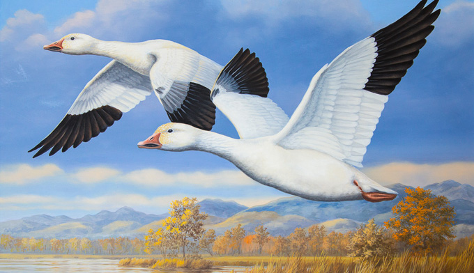 Crafts Pair Of Lesser Snow Geese Cross Stitch Pattern***look***buyers Can Download Your Pattern As Soon As They Complete The Purchase