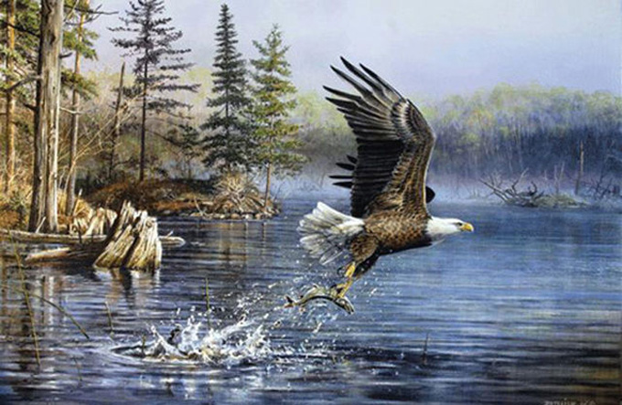 American EagLe Cross Stitch Pattern***LOOK***Buyers Can Download Your Pattern As Soon As They Complete The Purchase