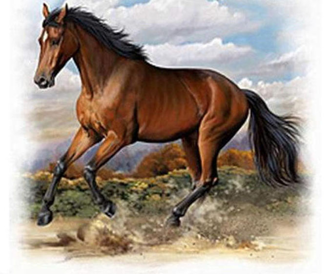 CRAFTS American Quarter Horse Cross Stitch Pattern***LOOK***Buyers Can Download Your Pattern As Soon As They Complete The Purchase