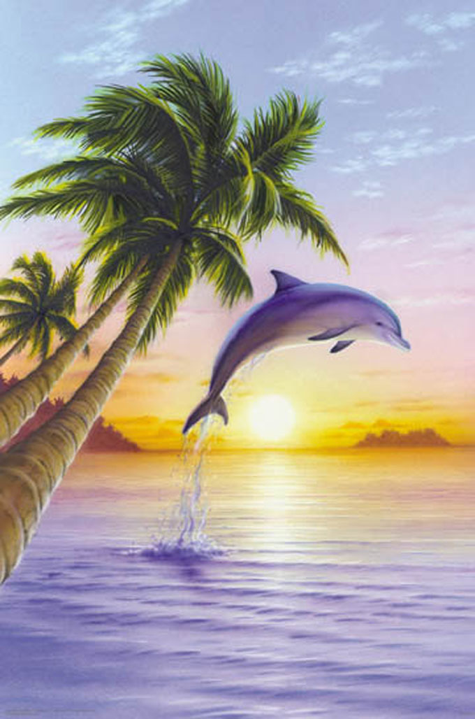Crafts Beautiful Dolphin Cross Stitch Pattern***look***buyers Can Download Your Pattern As Soon As They Complete The Purchase