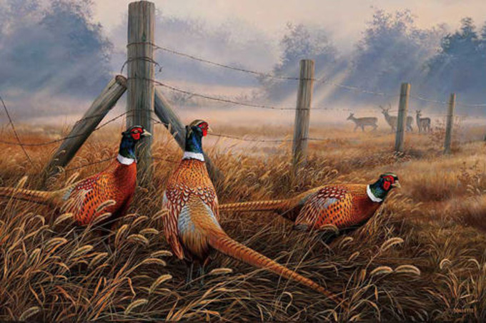 CRAFTS Meadow Mist Pheasants Cross Stitch Pattern***LOOK***Buyers Can Download Your Pattern As Soon As They Complete The Purchase