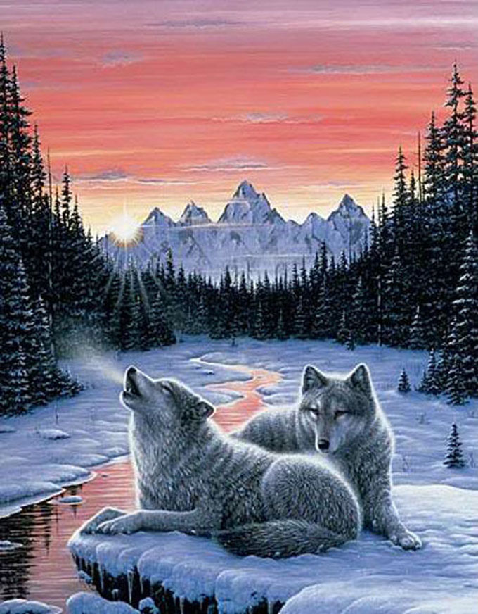 Twilight Song Wolf Cross Stitch Pattern***look***buyers Can Download Your Pattern As Soon As They Complete The Purchase