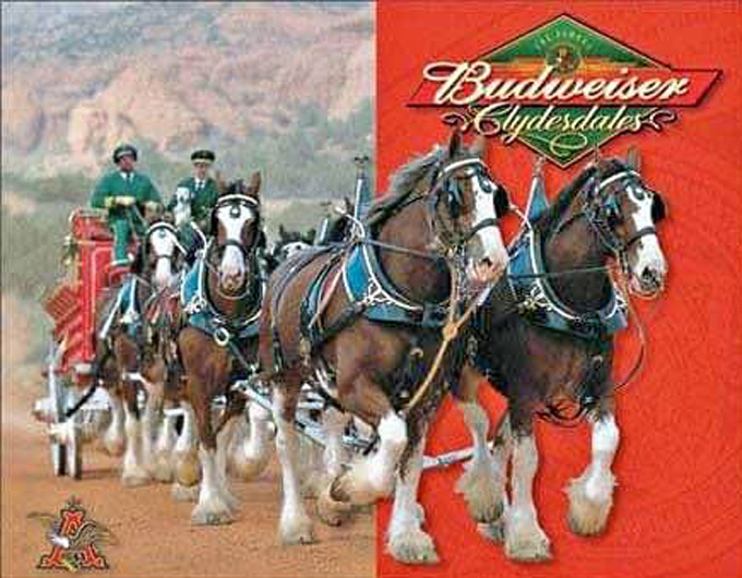 ( CRAFTS ) Budweiser Clydesdales Cross Stitch Pattern ***LOOK***Buyers Can Download Your Pattern As Soon As They Complete The Purchase