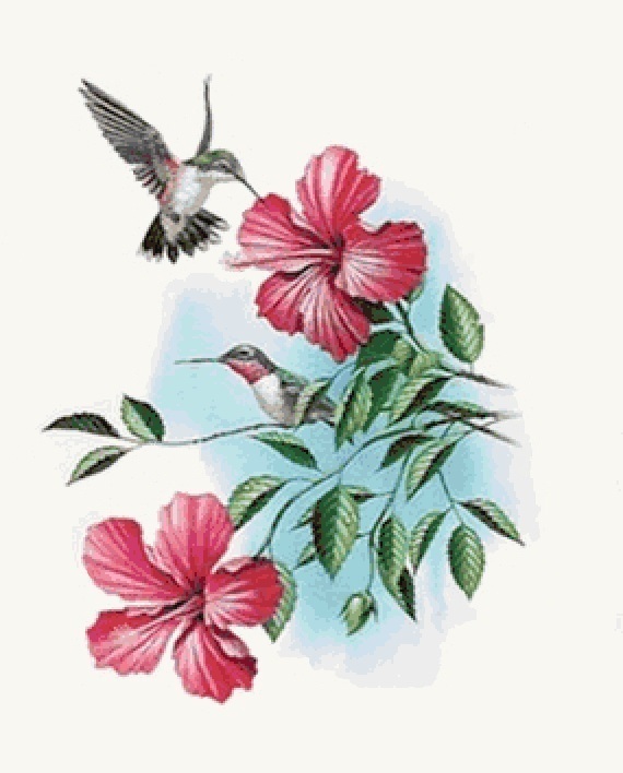 Ruby Throated Hummingbird Cross Stitch Pattern***look***buyers Can Download Your Pattern As Soon As They Complete The Purchase