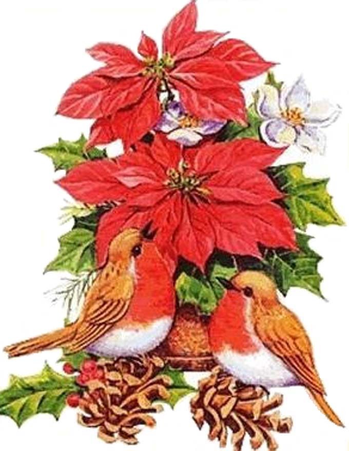 ( Crafts ) Poinsettas & Robins Cross Stitch Pattern***look***buyers Can Download Your Pattern As Soon As They Complete The Purchase