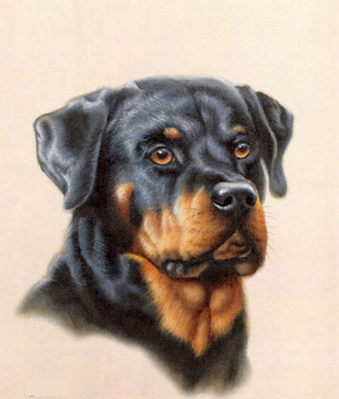 ( Crafts ) Rottweiler Cross Stitch Pattern***look***buyers Can Download Your Pattern As Soon As They Complete The Purchase