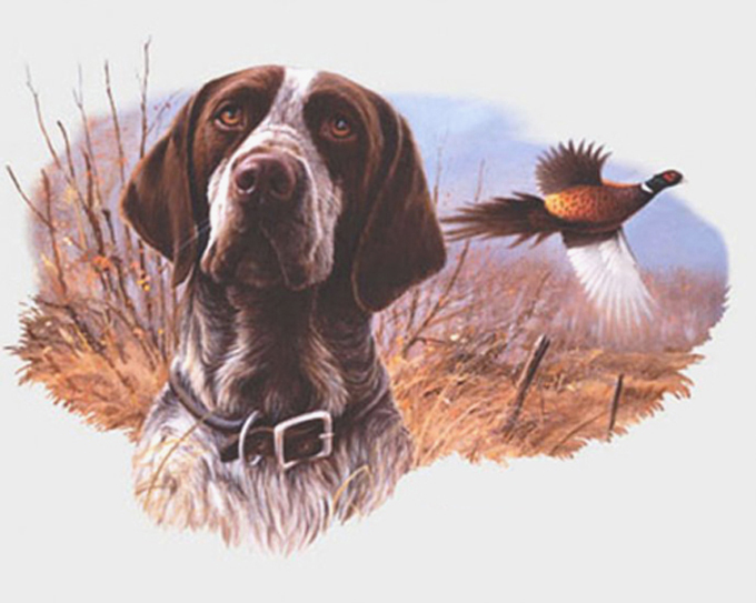 ( Crafts ) Field Hunt Dog Cross Stitch Pattern***look***buyers Can Download Your Pattern As Soon As They Complete The Purchase