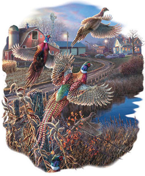 Wild Pheasants Cross Stitch Pattern***l@@k***buyers Can Download Your Pattern As Soon As They Complete The Purchase