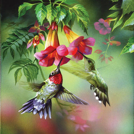 BIRDS Humming Birds Feeding Time Cross Stitch Pattern***L@@K***Buyers Can Download Your Pattern As Soon As They Complete The Purchase