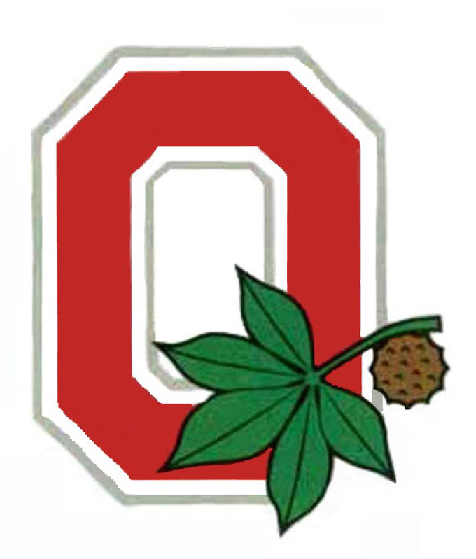 Ohio State Banner Cross Stitch Pattern***look***buyers Can Download Your Pattern As Soon As They Complete The Purchase