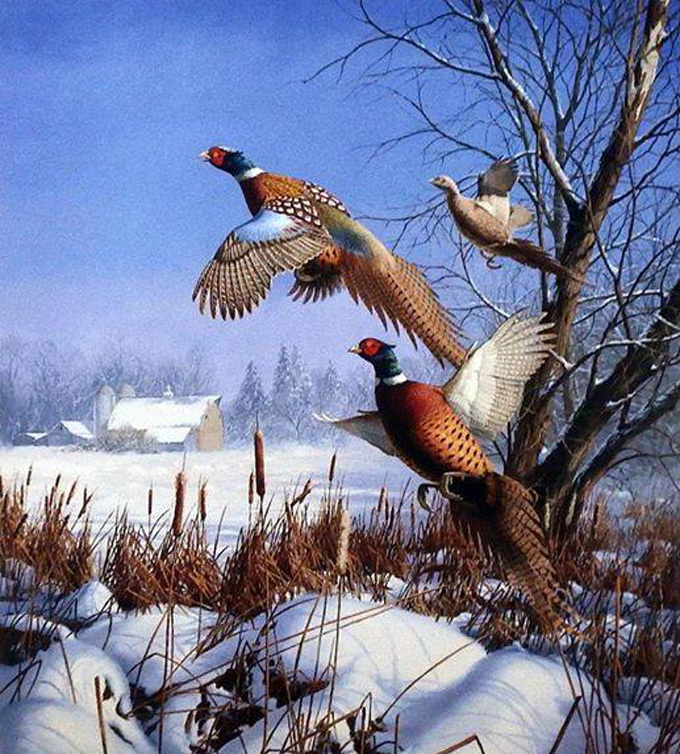 Pheasents In Flight Cross Stitch Pattern***l@@k***buyers Can Download Your Pattern As Soon As They Complete The Purchase