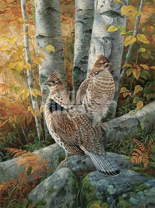 Late Season Grouse Cross Stitch Pattern***l@@k***buyers Can Download Your Pattern As Soon As They Complete The Purchase