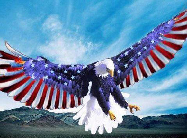 American Eagle Flag Wings Cross Stitch Pattern***l@@k***buyers Can Download Your Pattern As Soon As They Complete The Purchase