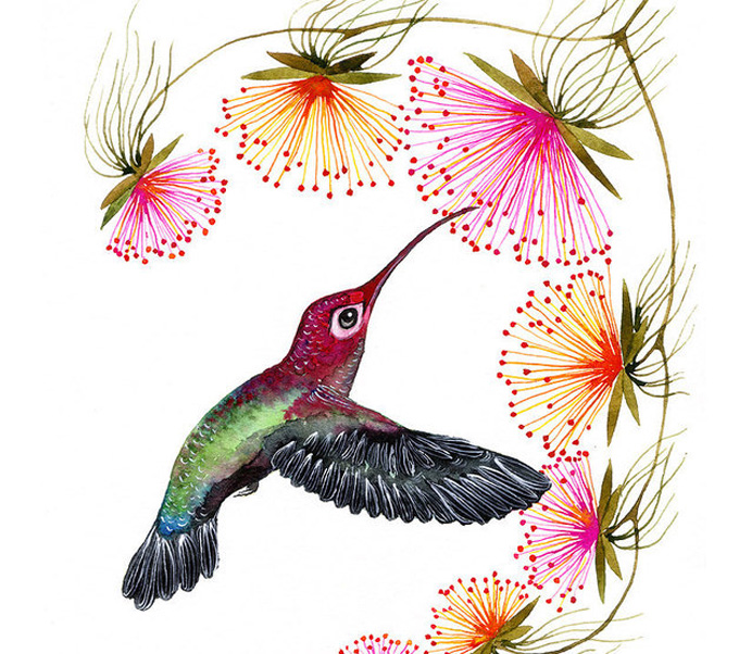 Colorful Humming Bird Cross Stitch Pattern***look***buyers Can Download Your Pattern As Soon As They Complete The Purchase