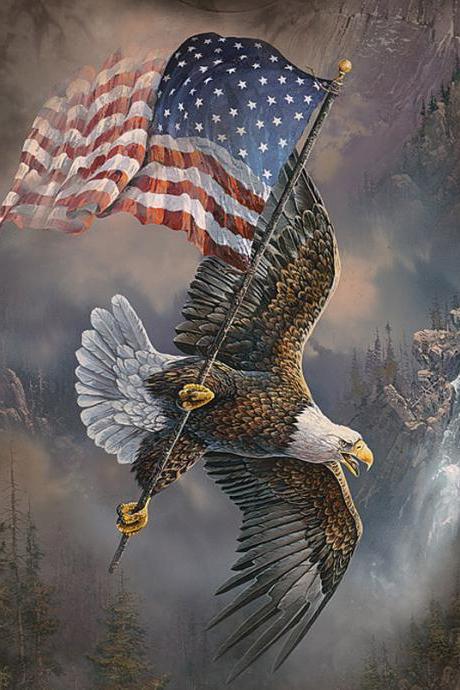 Soaring Over America Cross Stitch Pattern***LOOK***Buyers Can Download Your Pattern As Soon As They Complete The Purchase