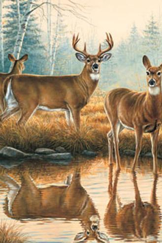 CRAFTS Deer Reflections Cross Stitch Pattern***LOOK***Buyers Can Download Your Pattern As Soon As They Complete The Purchase