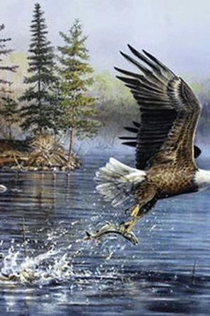 American Eagle Cross Stitch Pattern***look***buyers Can Download Your Pattern As Soon As They Complete The Purchase