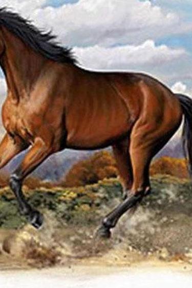 CRAFTS American Quarter Horse Cross Stitch Pattern***LOOK***Buyers Can Download Your Pattern As Soon As They Complete The Purchase