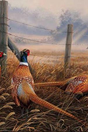 CRAFTS Meadow Mist Pheasants Cross Stitch Pattern***LOOK***Buyers Can Download Your Pattern As Soon As They Complete The Purchase