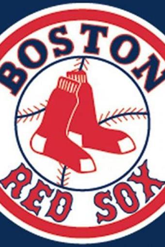 ( CRAFTS ) Boston Redsox Cross Stitch Pattern***LOOK***Buyers Can Download Your Pattern As Soon As They Complete The Purchase