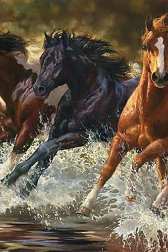 ( CRAFTS ) River Run Horses Cross Stitch Pattern***LOOK***Buyers Can Download Your Pattern As Soon As They Complete The Purchase