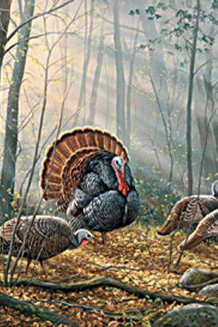( CRAFTS ) Woodland Wild Turkey Cross Stitch Pattern***LOOK***Buyers Can Download Your Pattern As Soon As They Complete The Purchase
