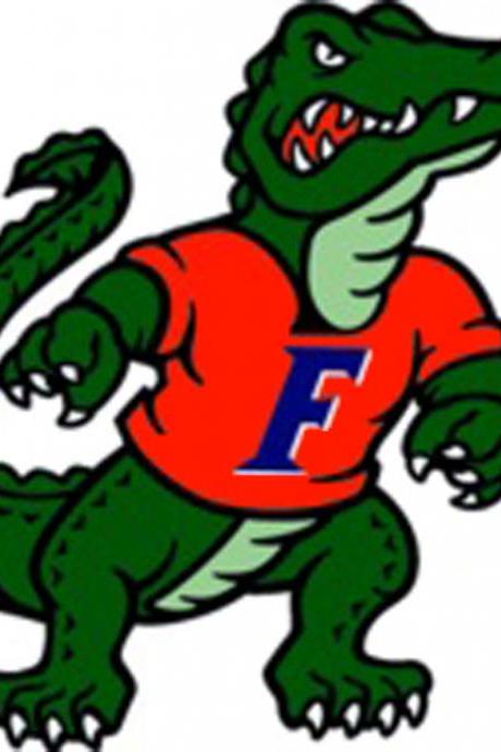 ( CRAFTS ) ( F ) Florida Gator Cross Stitch PatternF***LOOK***Buyers Can Download Your Pattern As Soon As They Complete The Purchase
