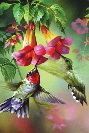 ( CRAFTS ) Humming Birds Feeding Time Cross Stitch Pattern***L@@K***Buyers Can Download Your Pattern As Soon As They Complete The Purchase