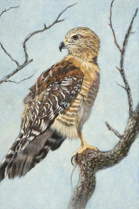 Birds Of Prey Cross Stitch Pattern***look***buyers Can Download Your Pattern As Soon As They Complete The Purchase