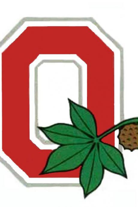 Ohio State Banner Cross Stitch Pattern***look***buyers Can Download Your Pattern As Soon As They Complete The Purchase