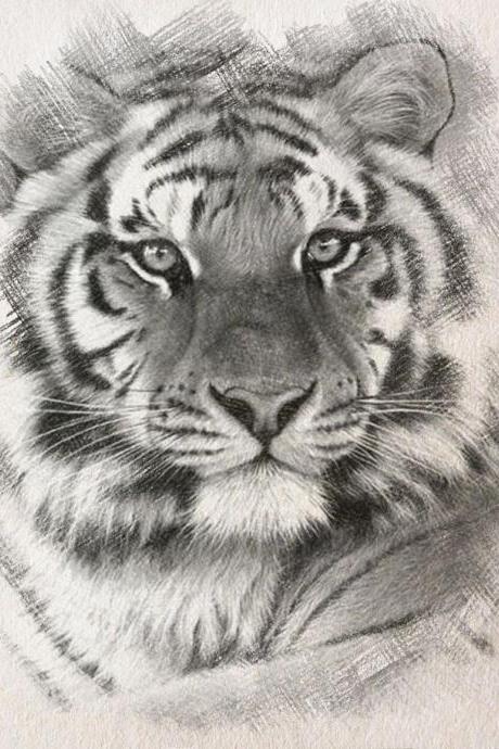Siberian Bw Tiger Cross Stitch Pattern***l@@k***buyers Can Download Your Pattern As Soon As They Complete The Purchase