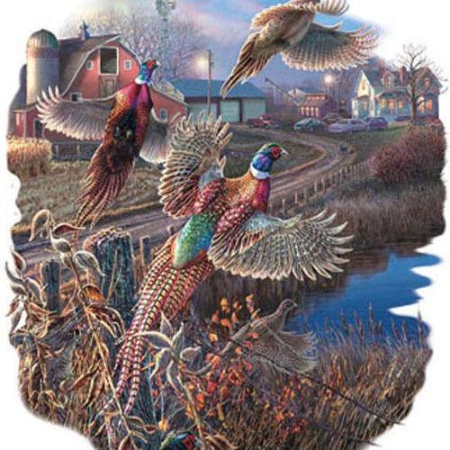  ( CRAFTS )  Wild Pheasants Cross Stitch Pattern***L@@K***Buyers Can Download Your Pattern As Soon As They Complete The Purchase
