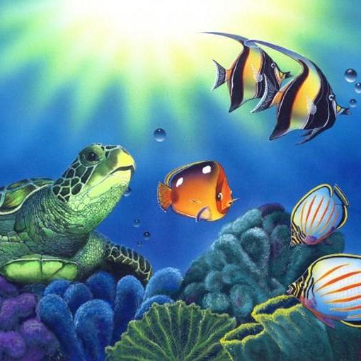 ( CRAFTS ) TurtLe Dreams Sea Life Cross Stitch Pattern ***L@@K*** Buyers Can Download Your Pattern As Soon As They Complete The Purchase